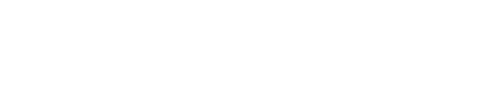 Mentor